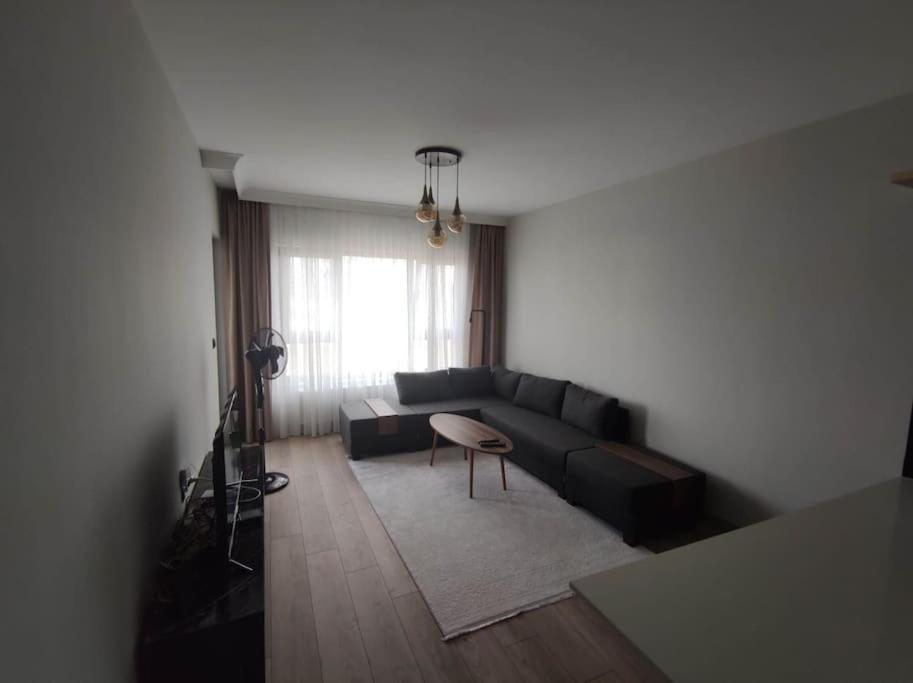 A New Flat Close To Nata Vega Daire